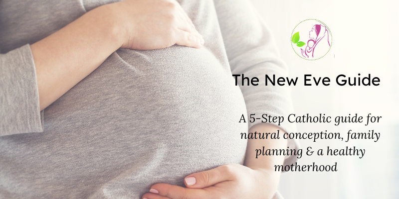 The New Eve Guide to Conception & Motherhood