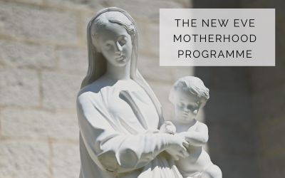 The New Eve Motherhood Programme