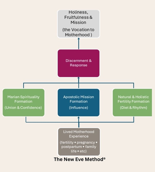 The New Eve Motherhood Programme